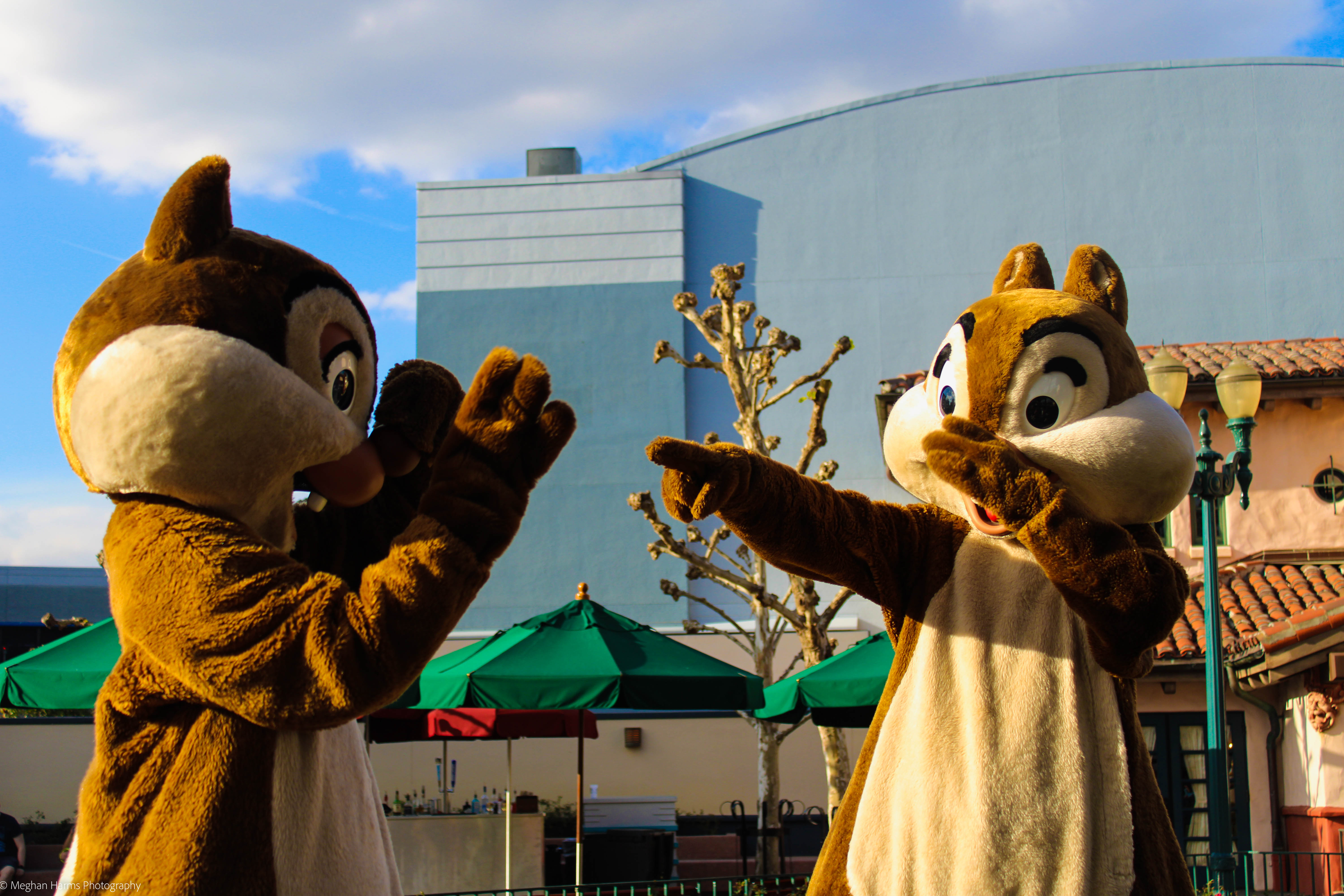 Chipmunks, Chip and Dale. Chip is pointing at Dale while Dale has his hands up in front of his face
